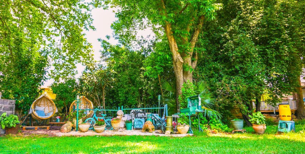 Brush And Wind Villa Hagoshrim Bagian luar foto