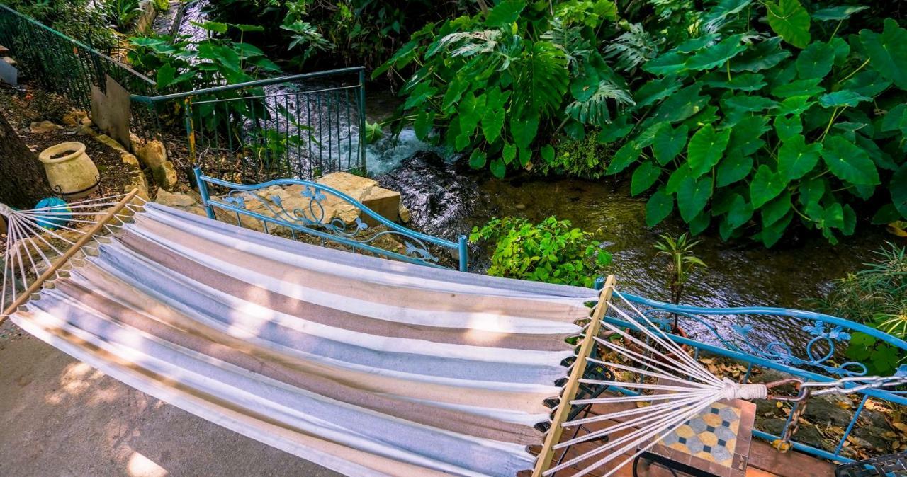 Brush And Wind Villa Hagoshrim Bagian luar foto
